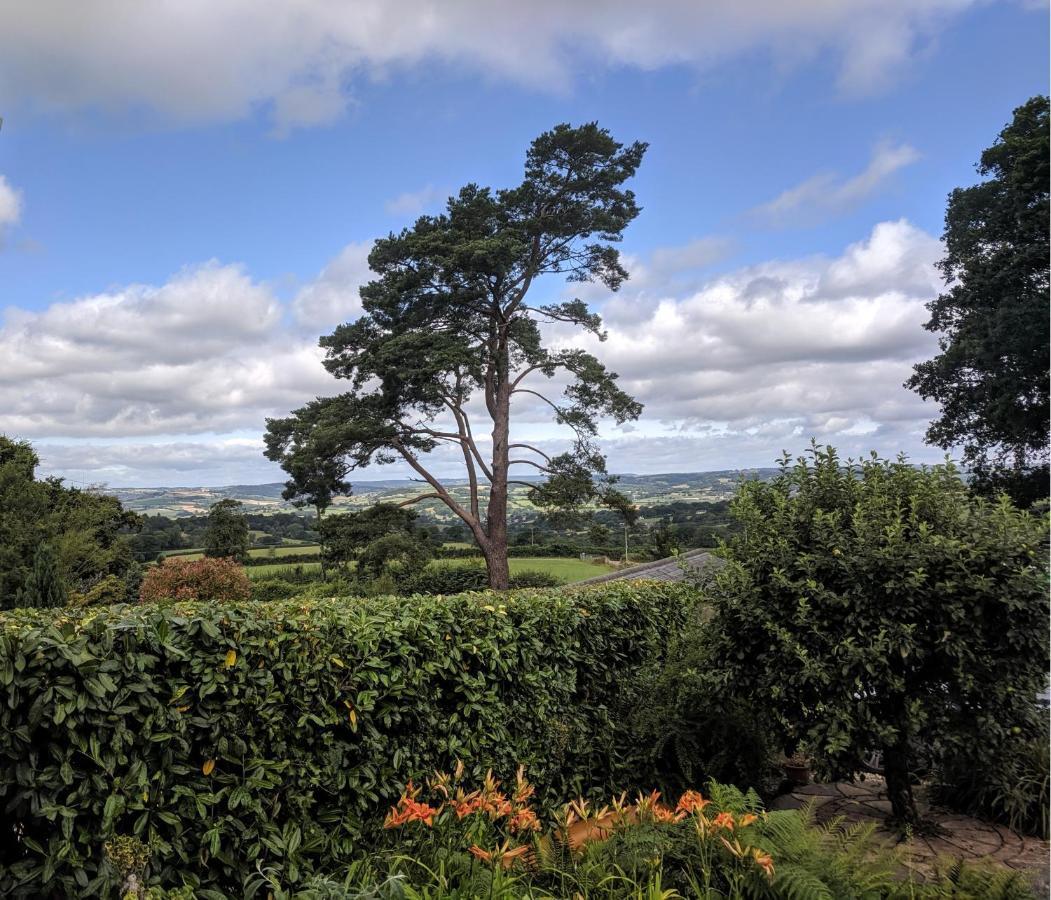 Countryside Retreat: Cosy Room with Fireplace and Balcony Views Axminster Exterior photo